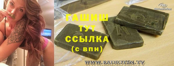 стаф Гусев